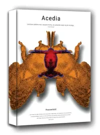 acedia-obraz-na-plotnie-40x50-cm