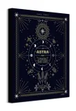ad-astra-obraz-na-plotnie-40x50-cm