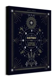 ad-astra-obraz-na-plotnie-40x50-cm
