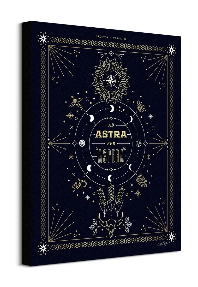 ad-astra-obraz-na-plotnie-40x50-cm