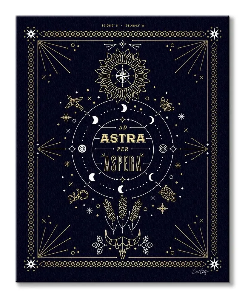 ad-astra-obraz-na-plotnie-40x50-cm