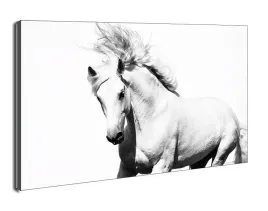 arabski-kon-obraz-na-plotnie-30x20-cm