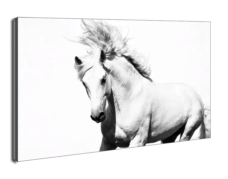 arabski-kon-obraz-na-plotnie-30x20-cm