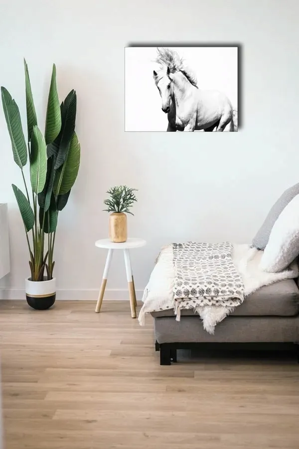 arabski-kon-obraz-na-plotnie-40x30-cm