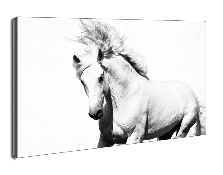 arabski-kon-obraz-na-plotnie-60x40-cm