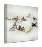 array-of-butterflies-motyle-obraz-na-plotnie-40x40-cm