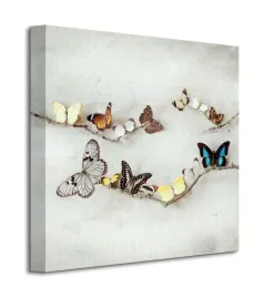array-of-butterflies-motyle-obraz-na-plotnie-40x40-cm