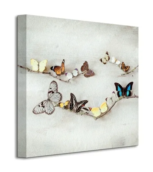 array-of-butterflies-motyle-obraz-na-plotnie-40x40-cm