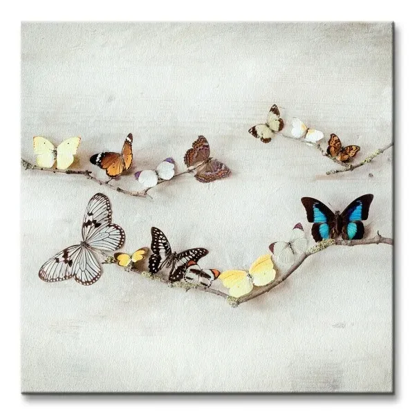 array-of-butterflies-motyle-obraz-na-plotnie-40x40-cm-stan-nowy