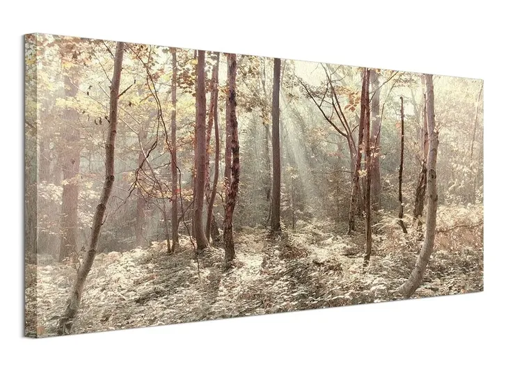 autumn-leaves-obraz-na-plotnie-100x50-cm