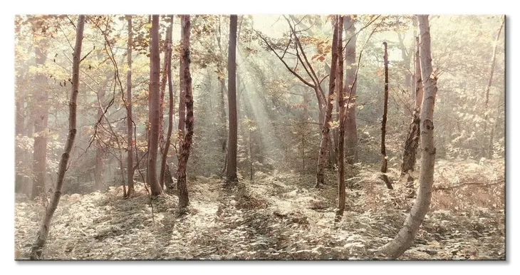 autumn-leaves-obraz-na-plotnie-100x50-cm-stan-nowy