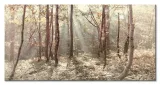 autumn-leaves-obraz-na-plotnie-100x50-cm-stan-nowy