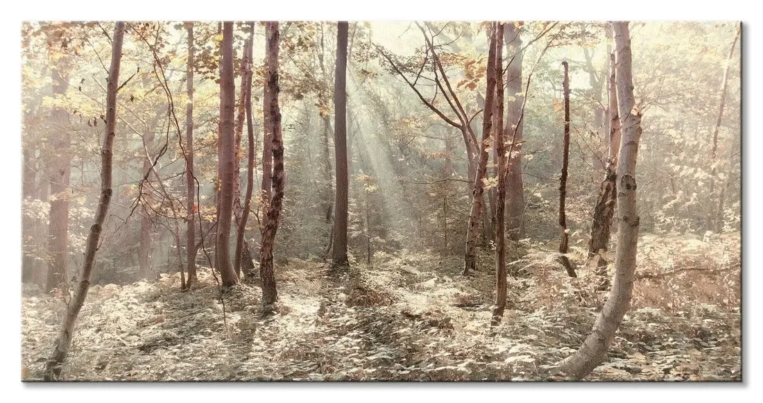 autumn-leaves-obraz-na-plotnie-100x50-cm