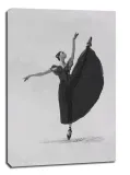 balet-balerina-obraz-na-plotnie-30x40-cm