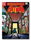 batman-rogues-gallery-obraz-na-plotnie-30x40-cm-stan-nowy