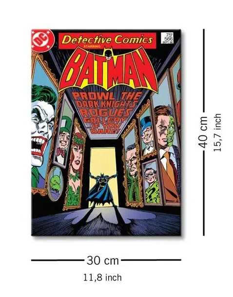 batman-rogues-gallery-obraz-na-plotnie-30x40-cm-stan-nowy