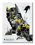 batman-80th-anniversary-obraz-na-plotnie-30x40-cm-stan-nowy