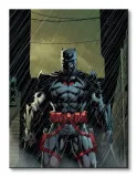 batman-flash-point-obraz-na-plotnie-60x80-cm-stan-nowy