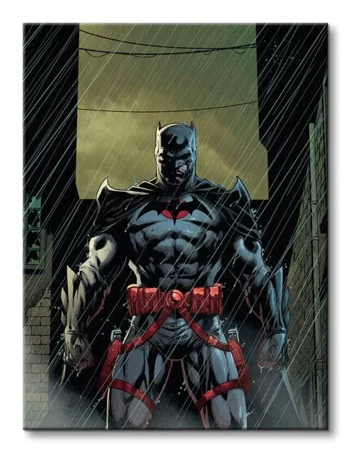 batman-flash-point-obraz-na-plotnie-60x80-cm