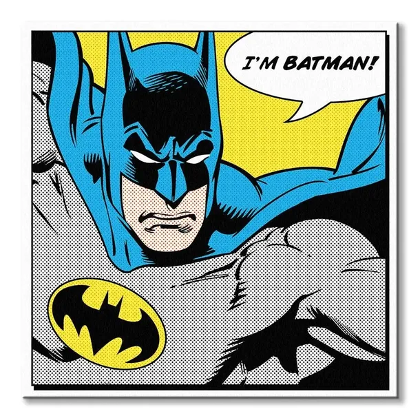 batman-im-batman-obraz-na-plotnie-40x40-cm-stan-nowy