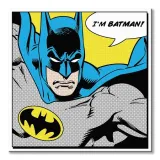batman-im-batman-obraz-na-plotnie-40x40-cm-stan-nowy