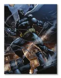 batman-rooftop-obraz-na-plotnie-60x80-cm-stan-nowy