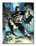 batman-storm-obraz-na-plotnie-60x80-cm-stan-nowy