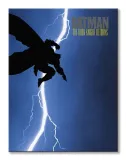 batman-the-dark-knight-returns-obraz-na-plotnie-60x80-cm-stan-nowy