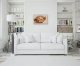 baxter-obraz-na-plotnie-40x30-cm-stan-nowy