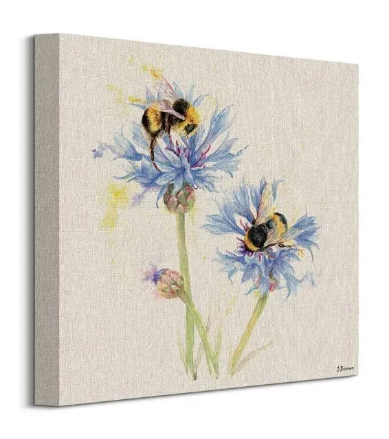 bees-on-cornflowers-obraz-na-plotnie-30x30-cm