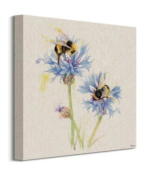bees-on-cornflowers-obraz-na-plotnie-40x40-cm