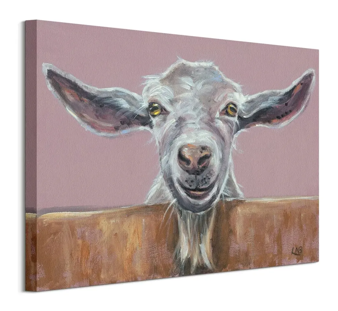 billy-obraz-na-plotnie-50x40-cm-stan-nowy