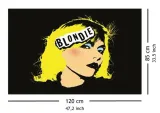 blondie-punk-obraz-na-plotnie-120x85-cm-stan-nowy