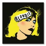 blondie-punk-obraz-na-plotnie-60x60-cm-stan-nowy