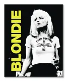 blondie-live-obraz-na-plotnie-40x50-cm-stan-nowy