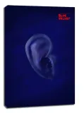 blue-velvet-obraz-na-plotnie-70x100-cm