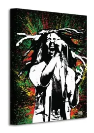 bob-marley-paint-obraz-na-plotnie-30x40-cm