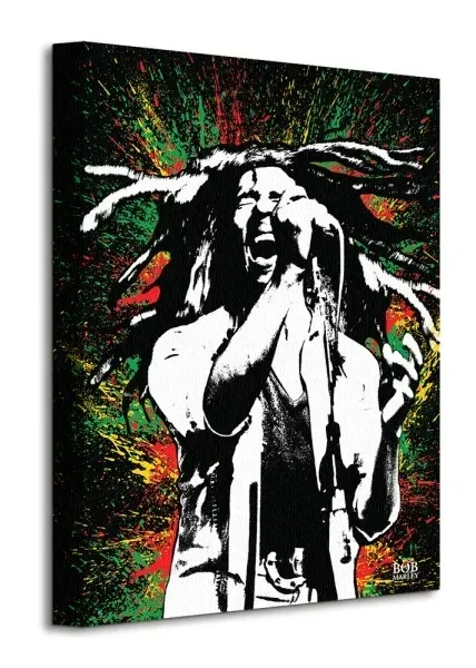 bob-marley-paint-obraz-na-plotnie-30x40-cm