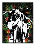 bob-marley-paint-obraz-na-plotnie-30x40-cm-stan-nowy