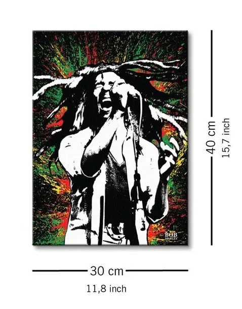 bob-marley-paint-obraz-na-plotnie-30x40-cm-stan-nowy