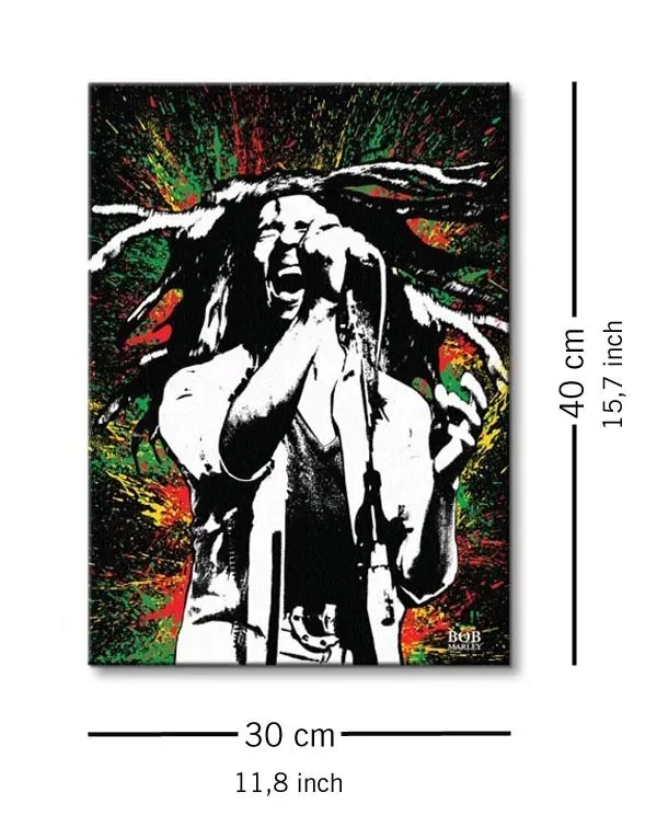bob-marley-paint-obraz-na-plotnie-30x40-cm