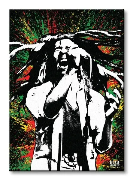 bob-marley-paint-obraz-na-plotnie-85x120-cm