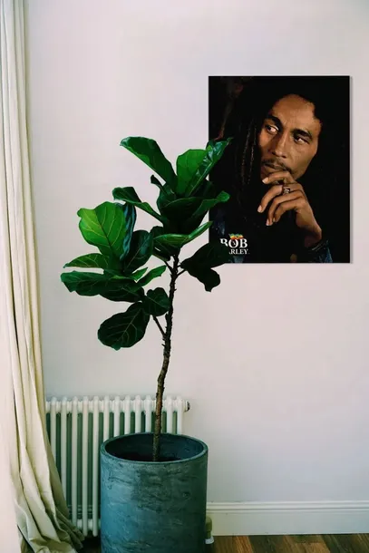 bob-marley-legend-obraz-na-plotnie-60x80-cm-stan-nowy