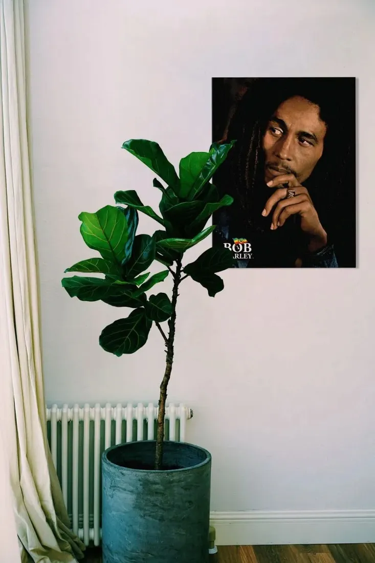 bob-marley-legend-obraz-na-plotnie-60x80-cm-stan-nowy