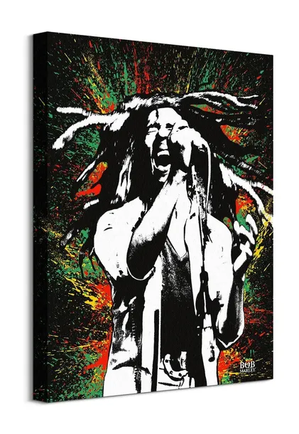bob-marley-paint-obraz-na-plotnie-40x50-cm
