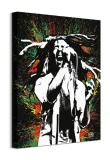 bob-marley-paint-obraz-na-plotnie-40x50-cm