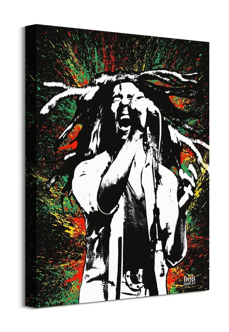 bob-marley-paint-obraz-na-plotnie-40x50-cm