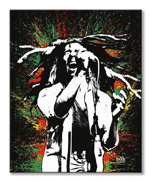 bob-marley-paint-obraz-na-plotnie-40x50-cm-stan-nowy