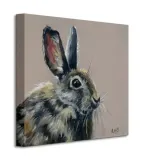 bright-eyes-obraz-na-plotnie-40x40-cm