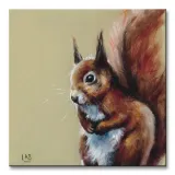 bushy-tailed-obraz-na-plotnie-40x40-cm-stan-nowy